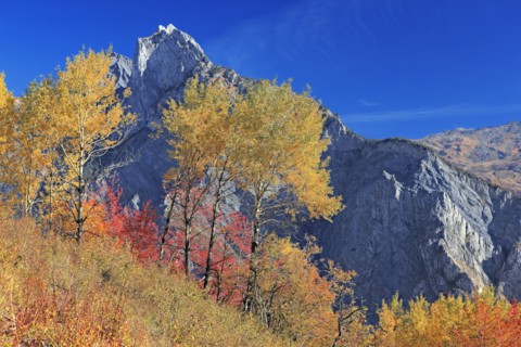 Saint-Michel-de-Maurienne, Savoie