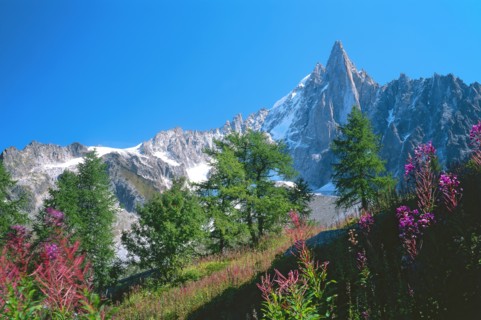 Chamonix, Haute-Savoie