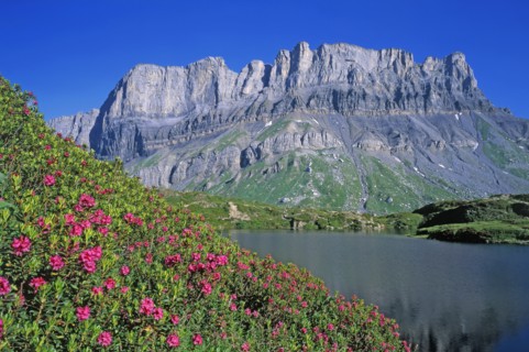 Mountain lake, Haute-Savoie