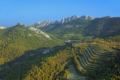 Gigondas, Vaucluse