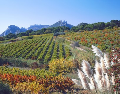 Gigondas, Vaucluse