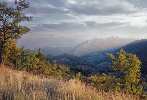 Gigondas, Vaucluse
