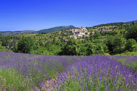 Aurel, Vaucluse