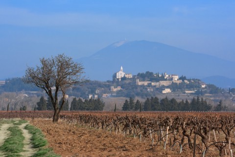 Cairanne, Vaucluse