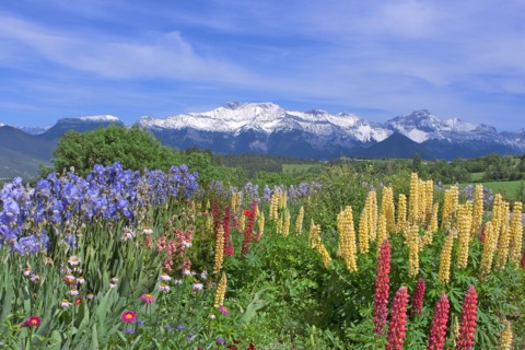 Paysage de montagne, Isère