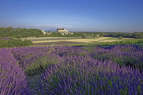 Grignan, Drôme