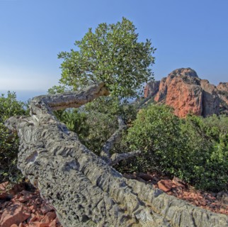 Saint Raphaël, Var