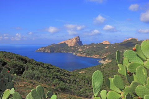 Piana, Corsicas