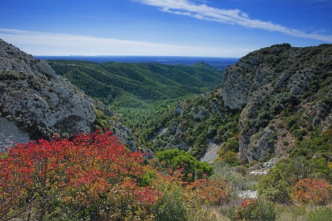The Alpilles massif, Bouches-du-Rhône