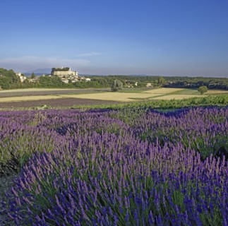 Grignan, Drôme