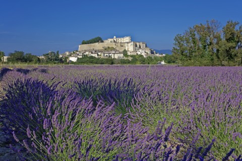 Grignan, Drôme