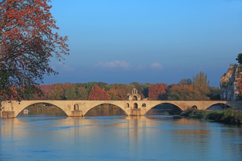 Avignon, Vaucluse