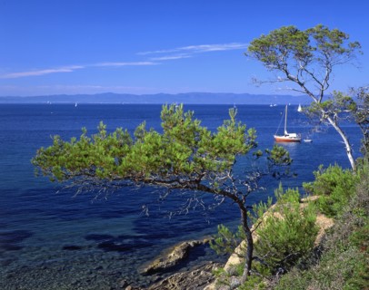 Ile de Porquerolles, Var
