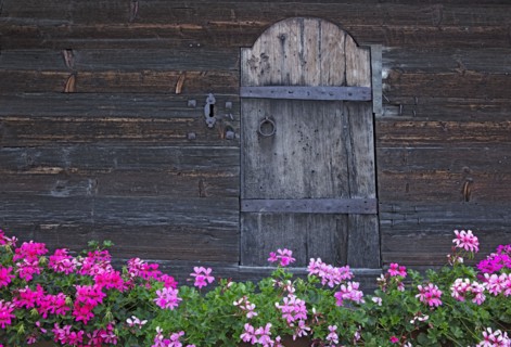 Detail of a granary in Haute-Savoie