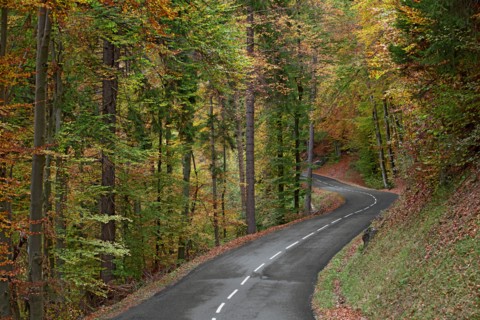 Route avec virage dans forêt en automne, Haute-Savoie