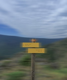 Parc National des Cévennes, massif de l'Aigoual, Gard