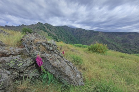 Mont Aigoual, Gard