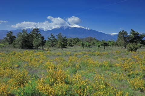 Massif du Canigou, Pyrénées-Orientales
