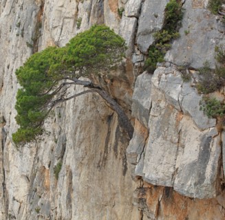 Calanques de Marseille, Bouches-du-Rhône