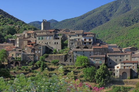 Saint-Martial, Gard