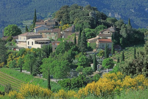 Suzette, Vaucluse