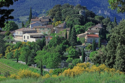 Suzette, Vaucluse