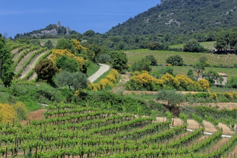 Beaumes-de-Venise, Vaucluse