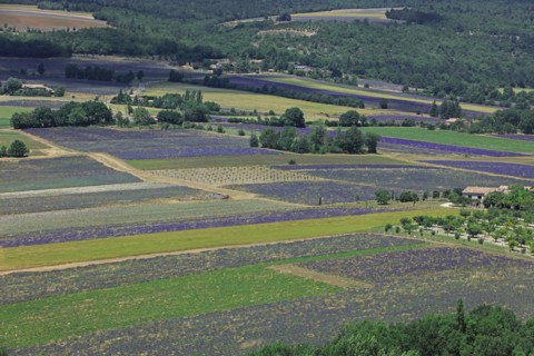 Sault, Vaucluse