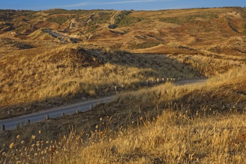 Dune massif in Biville, Manche