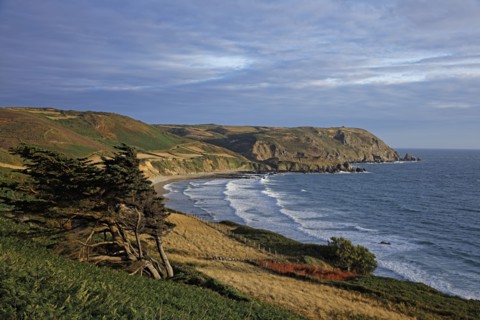 Baie d'Ecalgrain, Manche