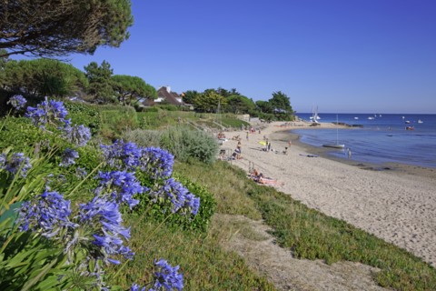 Estuaire de la Saire, Manche