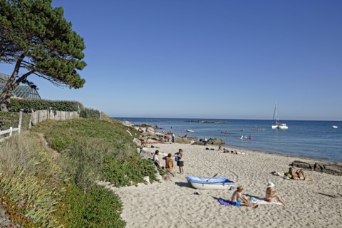 Estuaire de la Saire, Manche