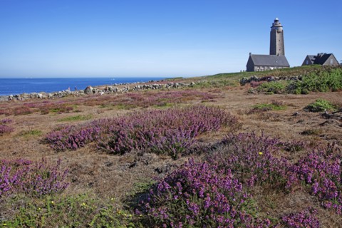 Fermanville, Cap Lévi, Manche