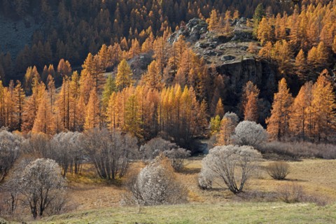 Névache en automne, Vallée de la Clarée, Hautes-Alpes