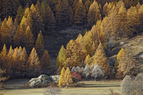 Névache en automne, Vallée de la Clarée, Hautes-Alpes