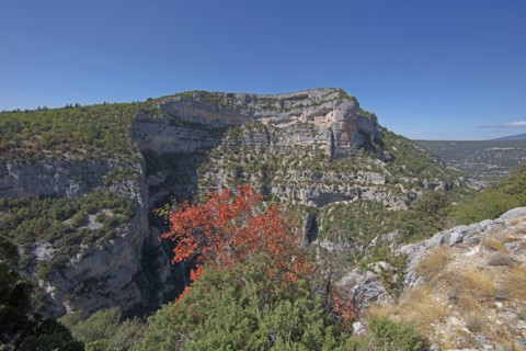 Monieux, Gorges de la Nesque, Vaucluse