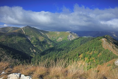 Lus-la-Croix-Haute, Drôme