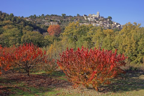 Lacoste, Vaucluse
