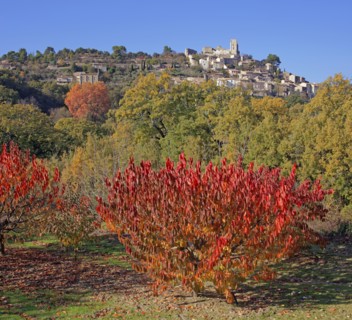 Lacoste, Vaucluse