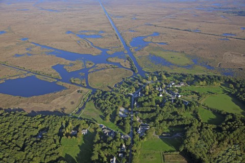 Saint-Lyphard, Loire-Atlantique