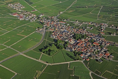 Oger, Marne
