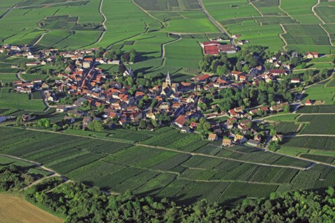 Ville-Dommange, Marne