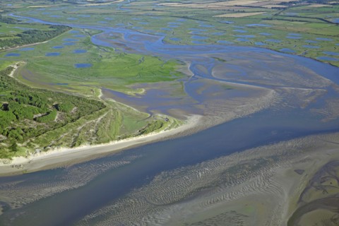 Baie d'Authie, Pas-de-Calais