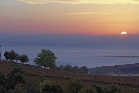Solutré-Pouilly, Saône-et-Loire