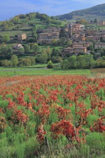 Ville-sur-Jarnioux, Rhône