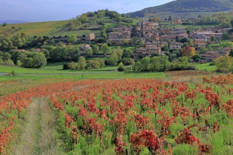 Ville-sur-Jarnioux, Rhône