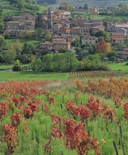 Ville-sur-Jarnioux, Rhône