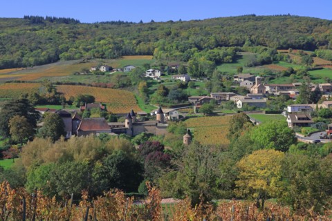 Chasselas, Saône-et-Loire