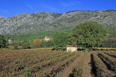 The Montagne Sainte-Victoire, Bouches-du-Rhône