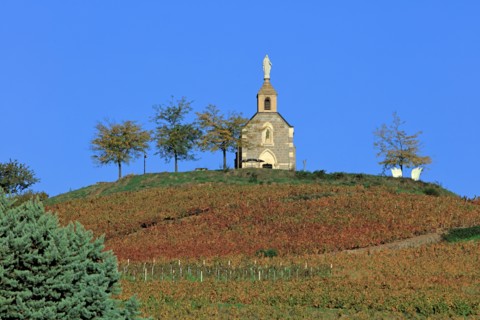Fleurie, Rhône